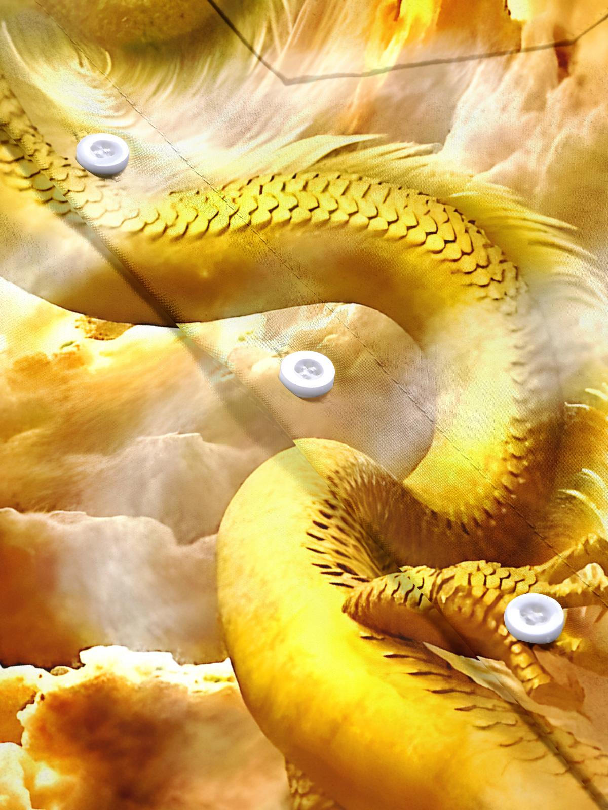 Dragon Men's Pocket Short Sleeve Shirts