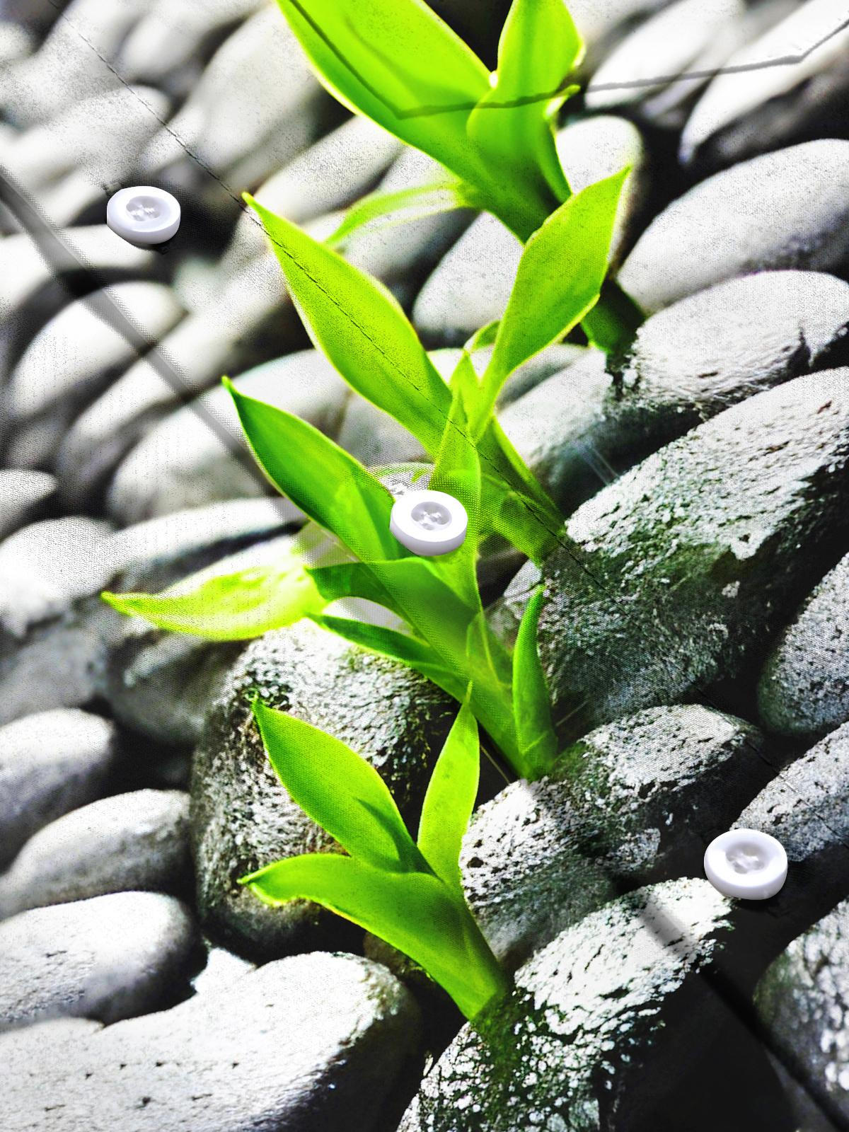 Budding Shoots Among Stones Men's Pocket Short Sleeve Shirts