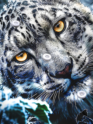 Adaychic Men's Printed Snow Leopard Face Print Long Sleeve Shirt with Chest Pocket