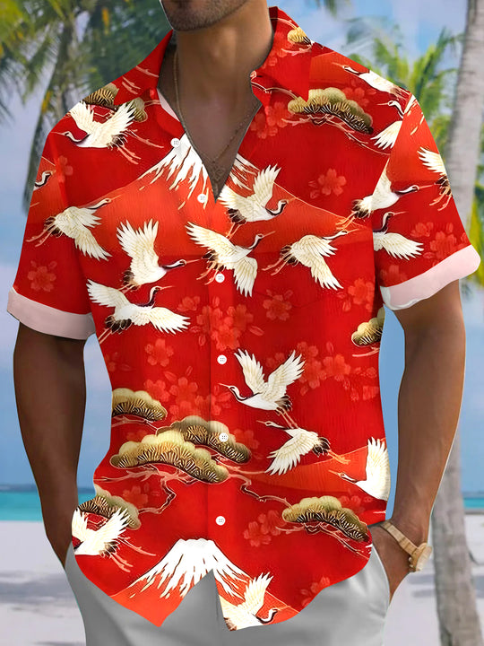 men's shirt front view