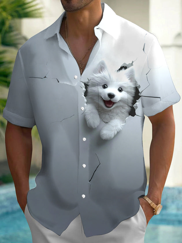 men's shirt front view
