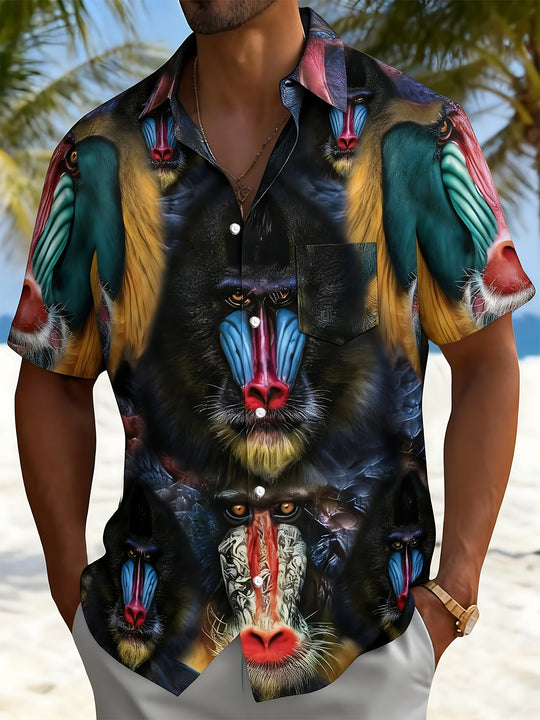 men's shirt front view