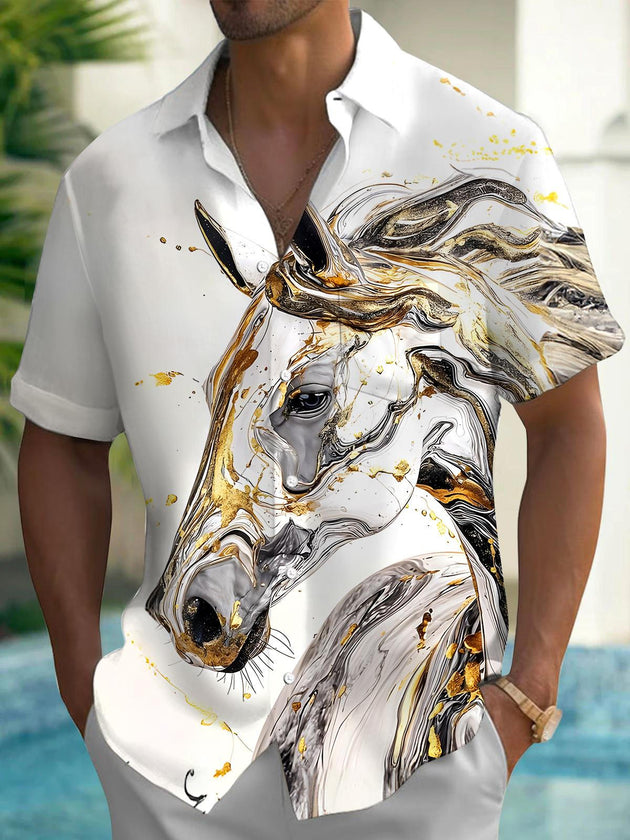 men's shirt front view