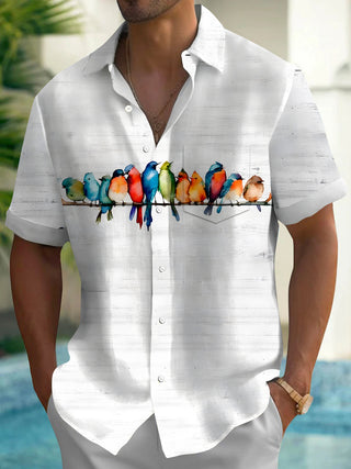 men's shirt front view