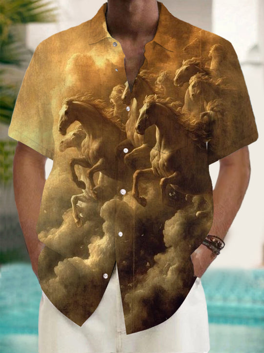 men's shirt front view