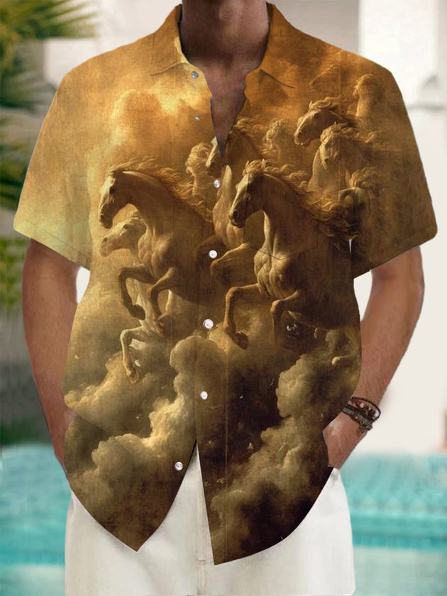 men's shirt front view
