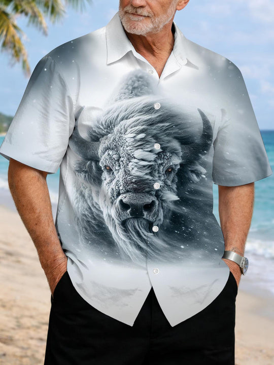 men's shirt front view