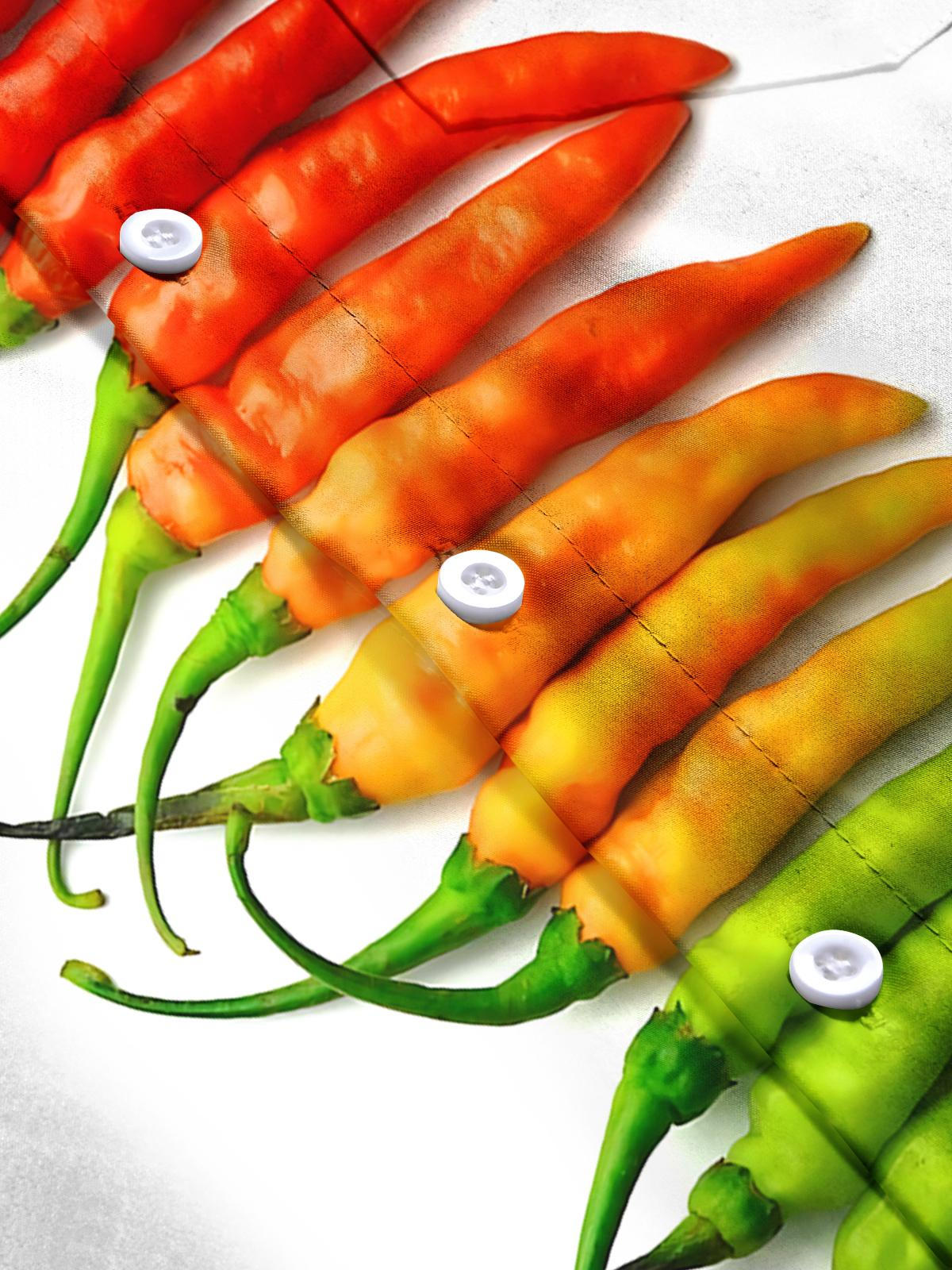 Chili Print Men's Pocket Short Sleeve Shirts