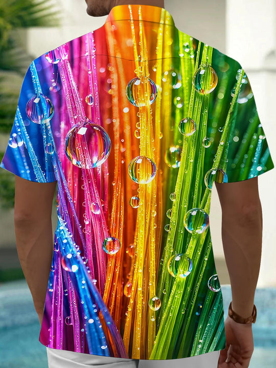 men's aloha shirt back view