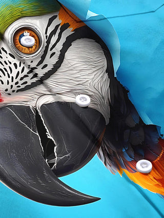 men's parrot print shirt close-up short sleeve