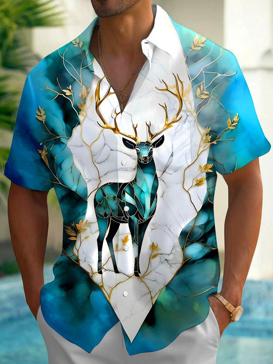 men's shirt front view