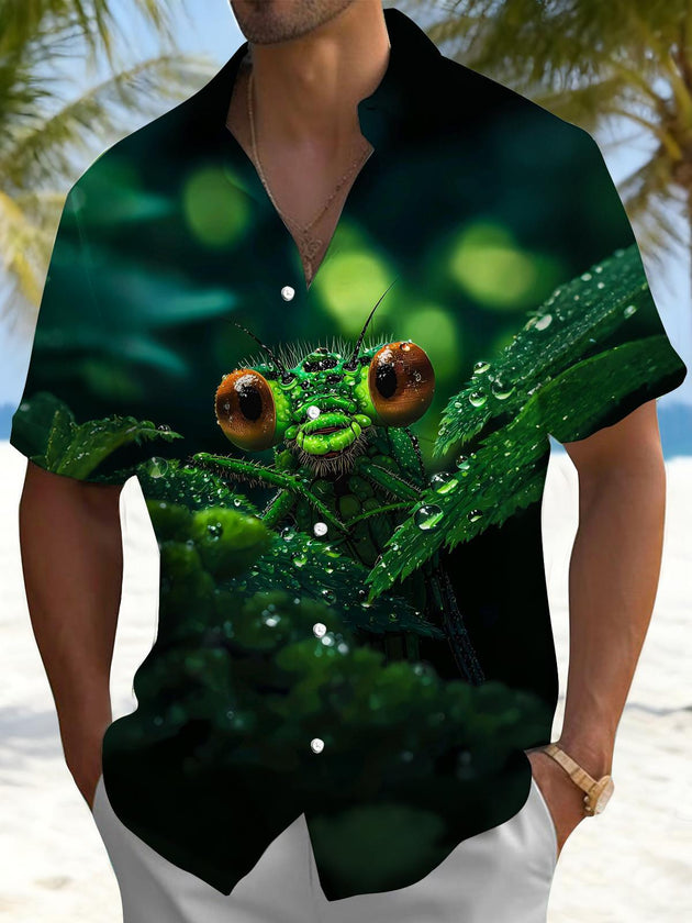 men's shirt front view