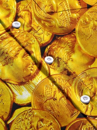 Men's gold coin print short sleeve shirt flat lay pattern detail