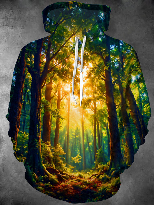 Adaychic Men's Long Sleeve Pullover Hoodie - Sunlit Forest Path With Tall Trees Print with Kangaroo Pocket
